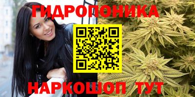 кокс Сланцы